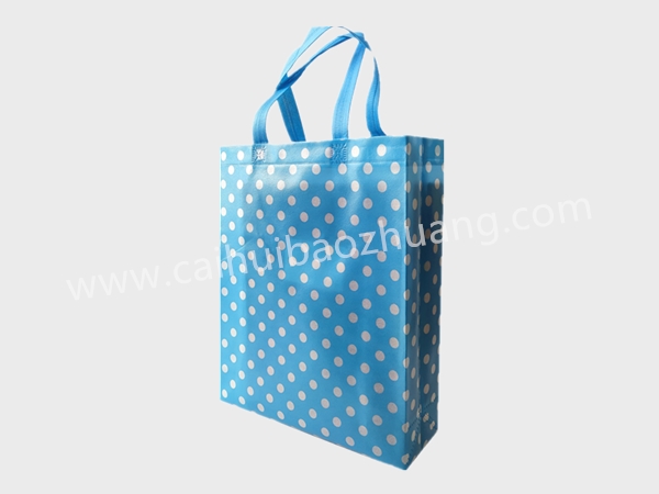 彩匯包裝  禮品手提袋   購(gòu)物手提袋